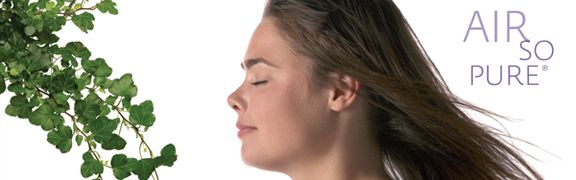 org:/banners product categories/themes/airsopure_header.jpg